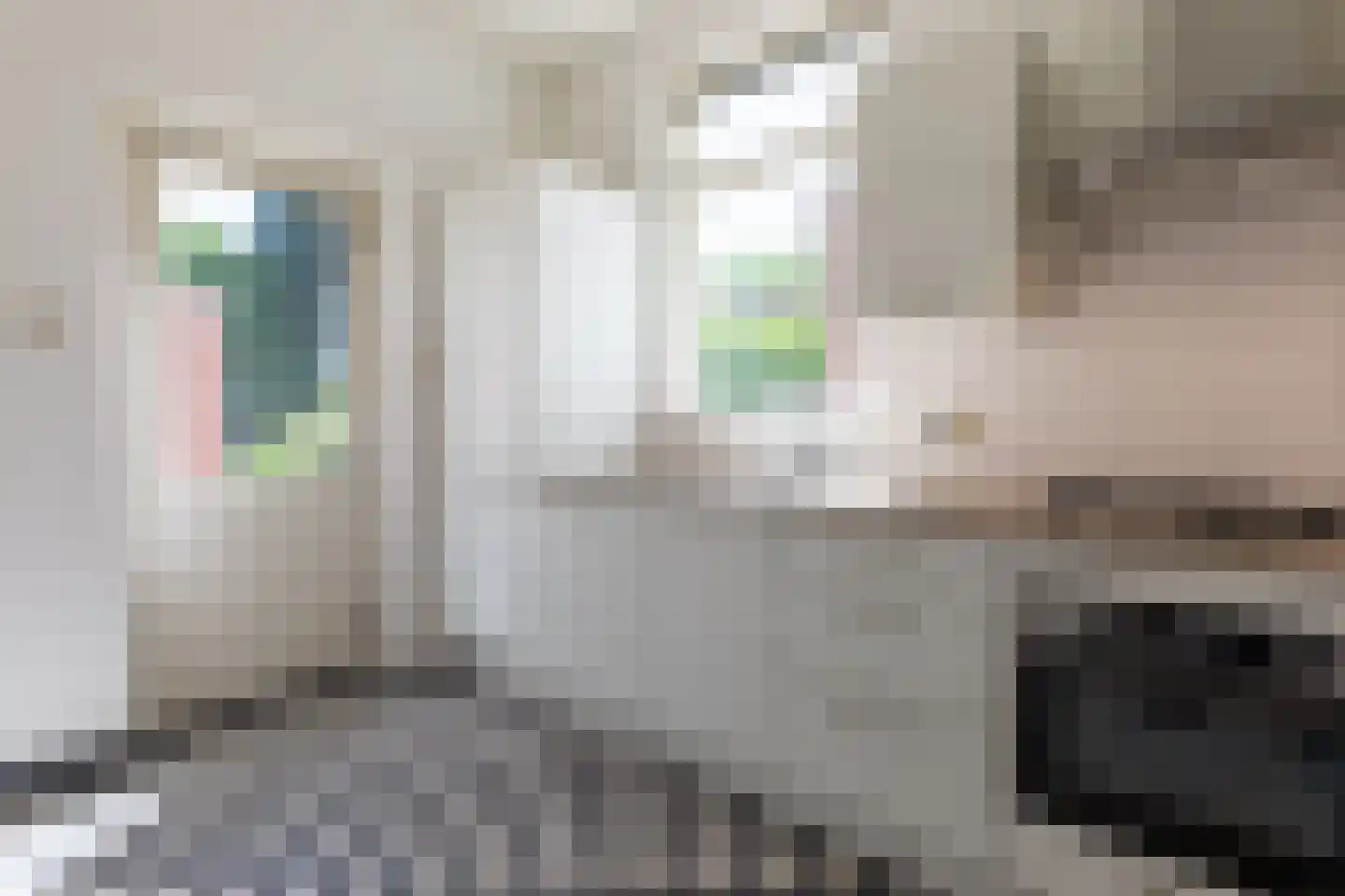 Elisabeth Strouvenlaan 65 Maastricht thumbnail 8