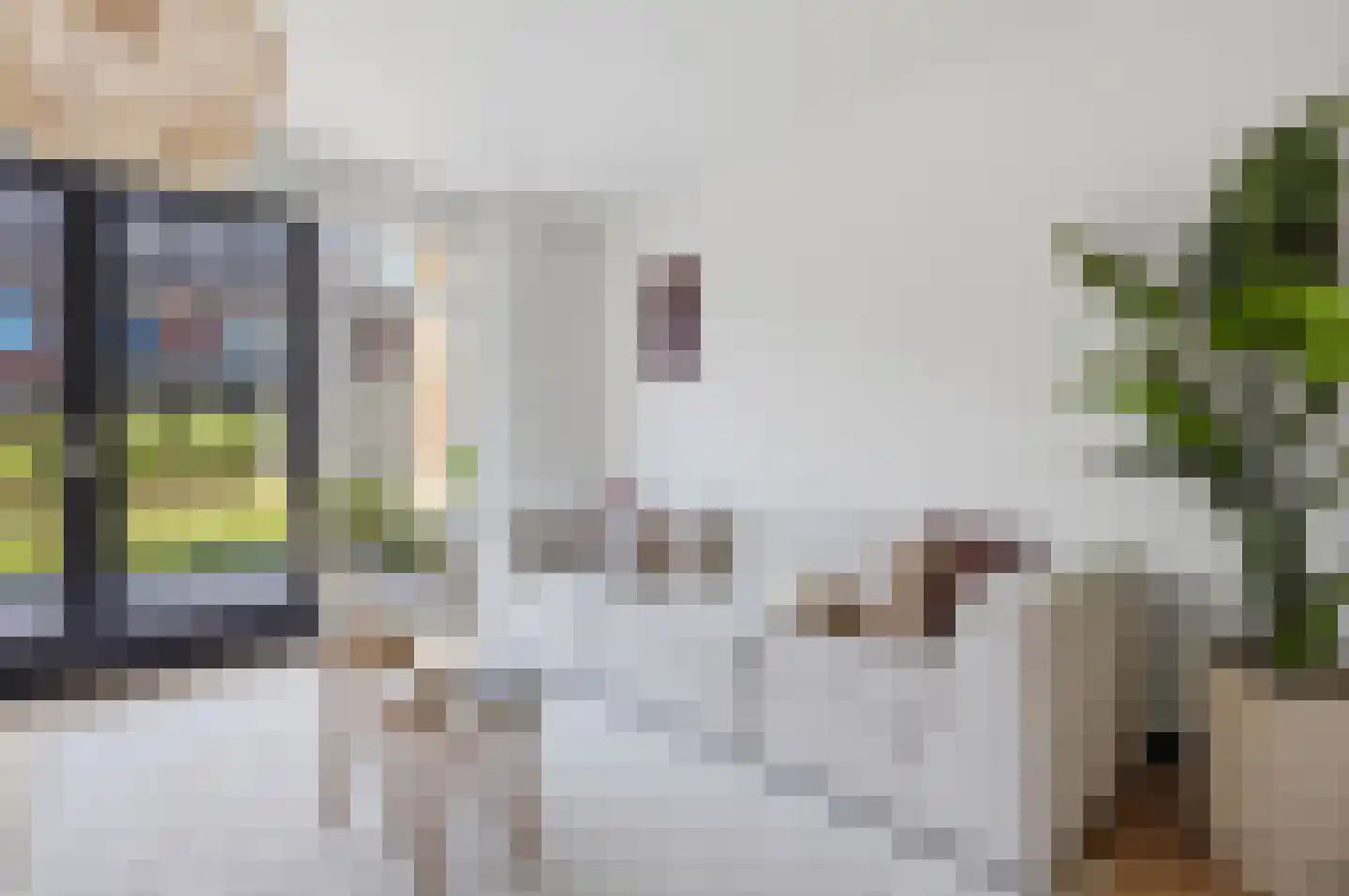 Elisabeth van Brunswijklaan 8 Den Haag thumbnail 11
