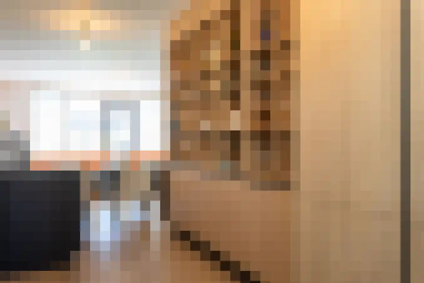 Elisabeth van Brunswijklaan 8 Den Haag thumbnail 14