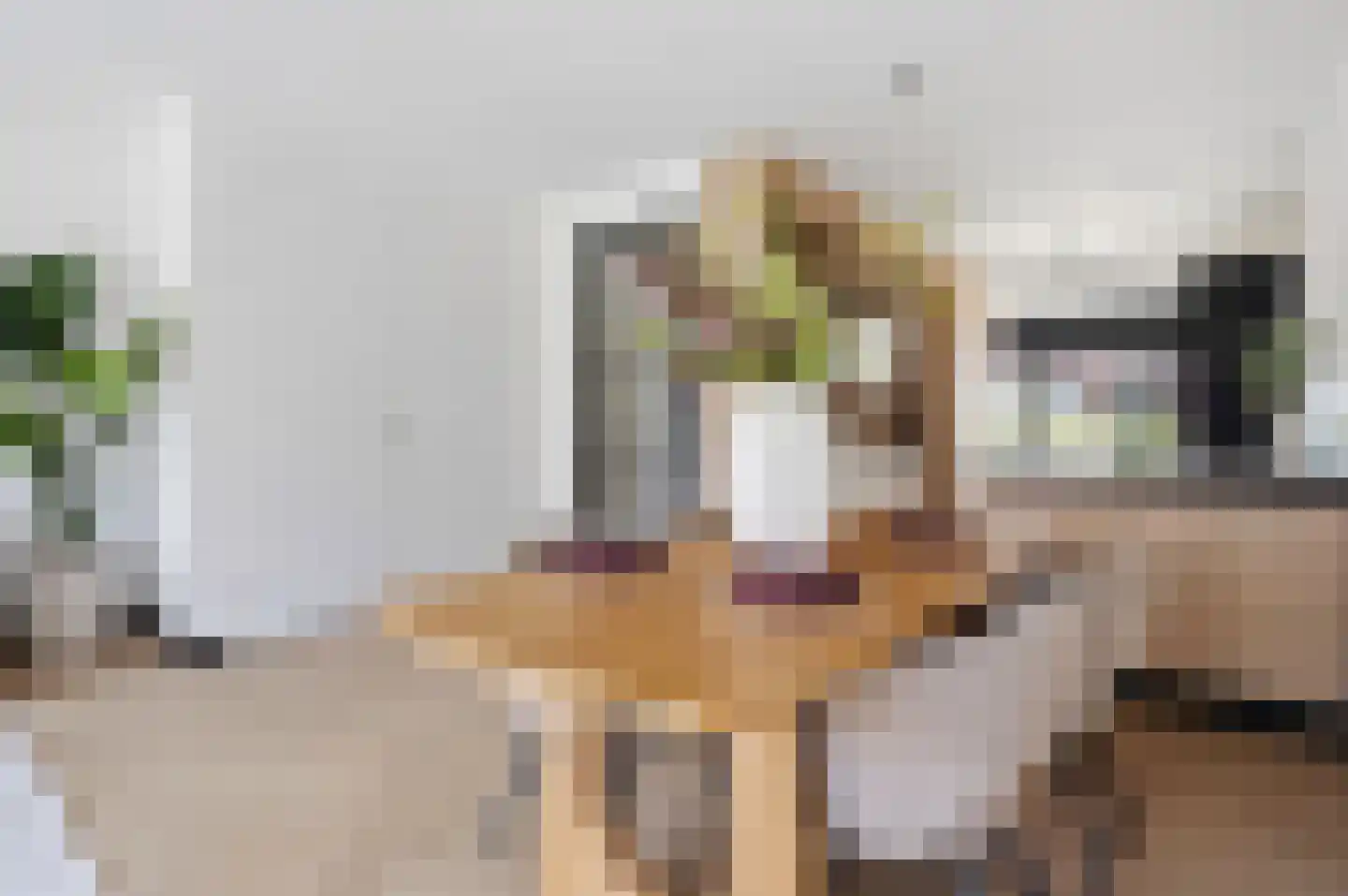 Elisabeth van Brunswijklaan 8 Den Haag thumbnail 14