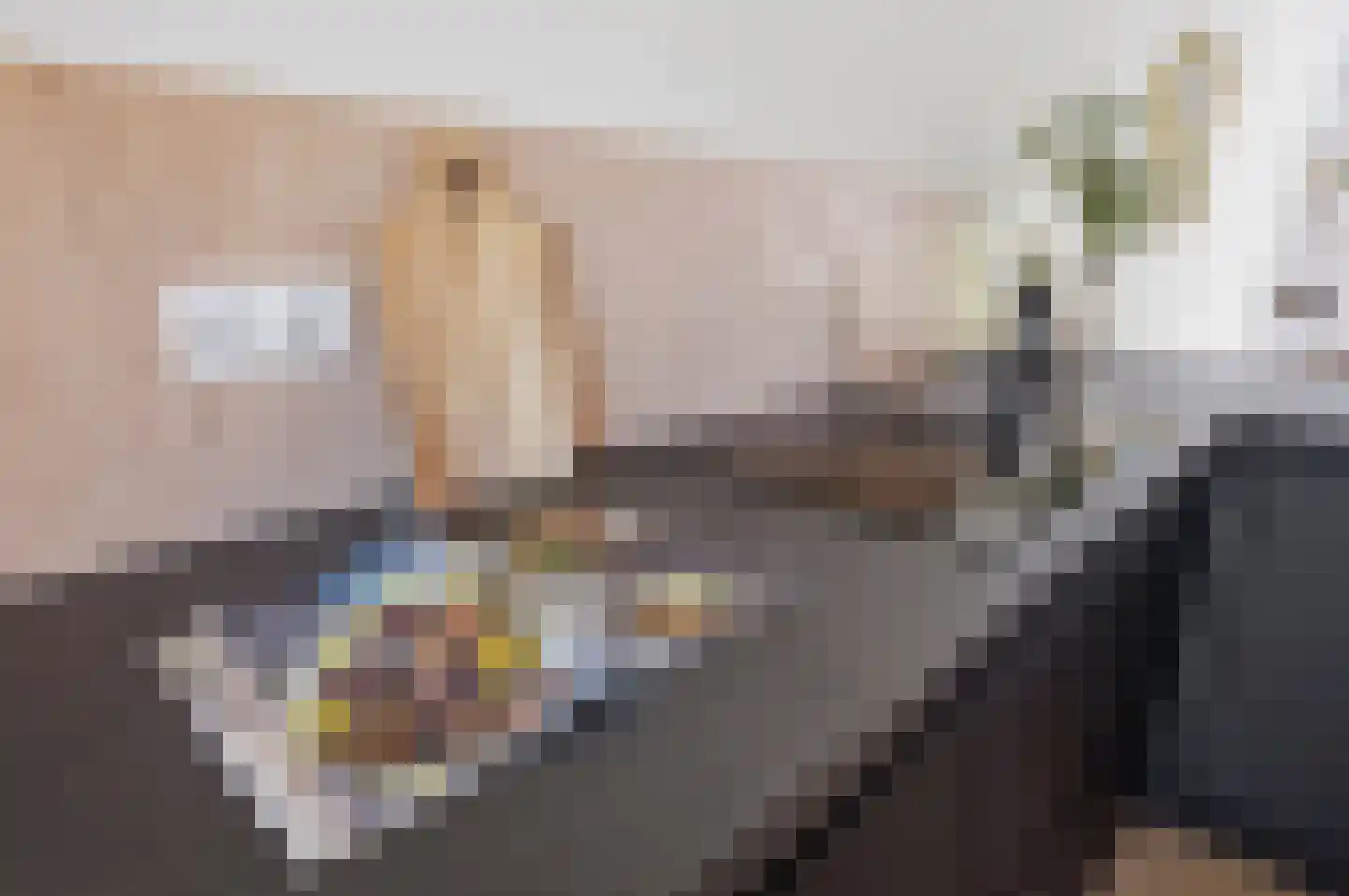 Elisabeth van Brunswijklaan 8 Den Haag thumbnail 18