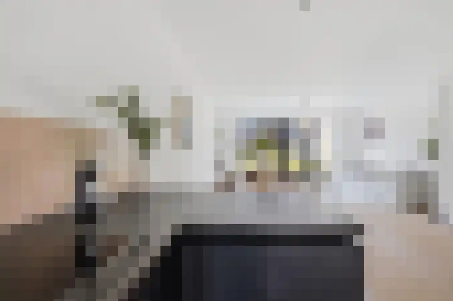 Elisabeth van Brunswijklaan 8 Den Haag thumbnail 20