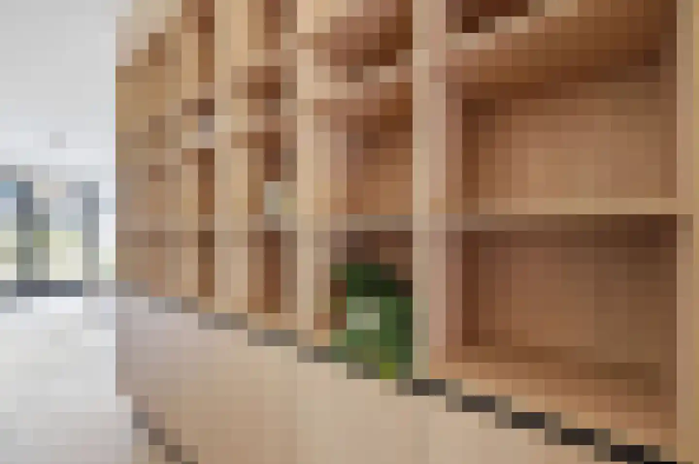 Elisabeth van Brunswijklaan 8 Den Haag thumbnail 21