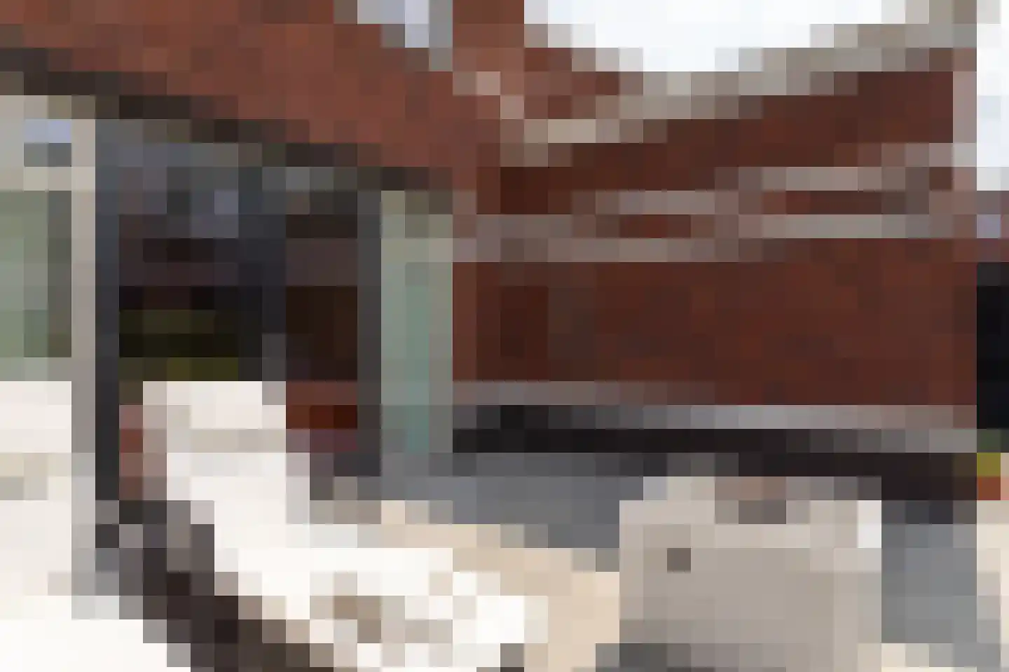 Elisabeth van Brunswijklaan 8 Den Haag thumbnail 28