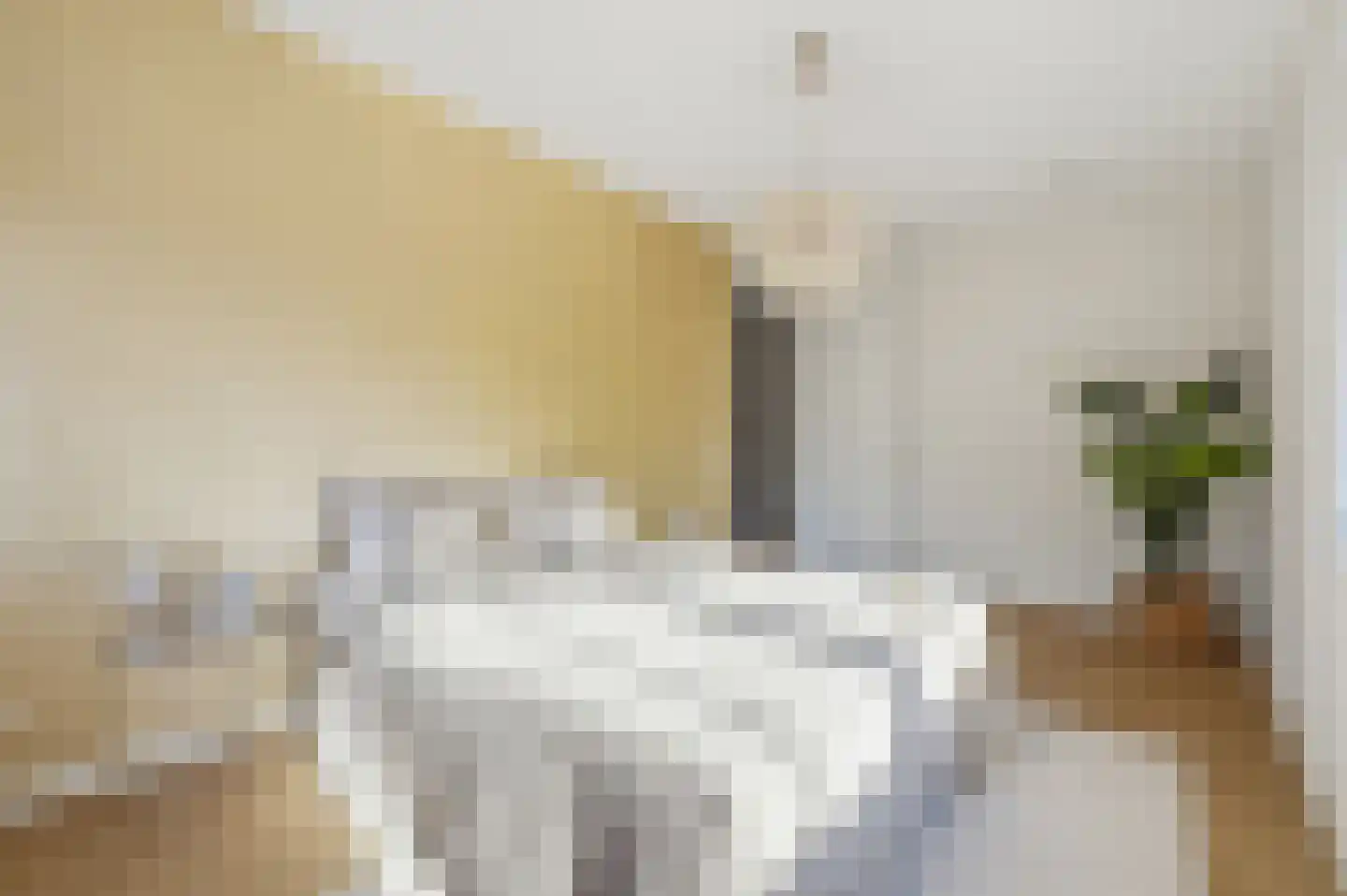 Elisabeth van Brunswijklaan 8 Den Haag thumbnail 32