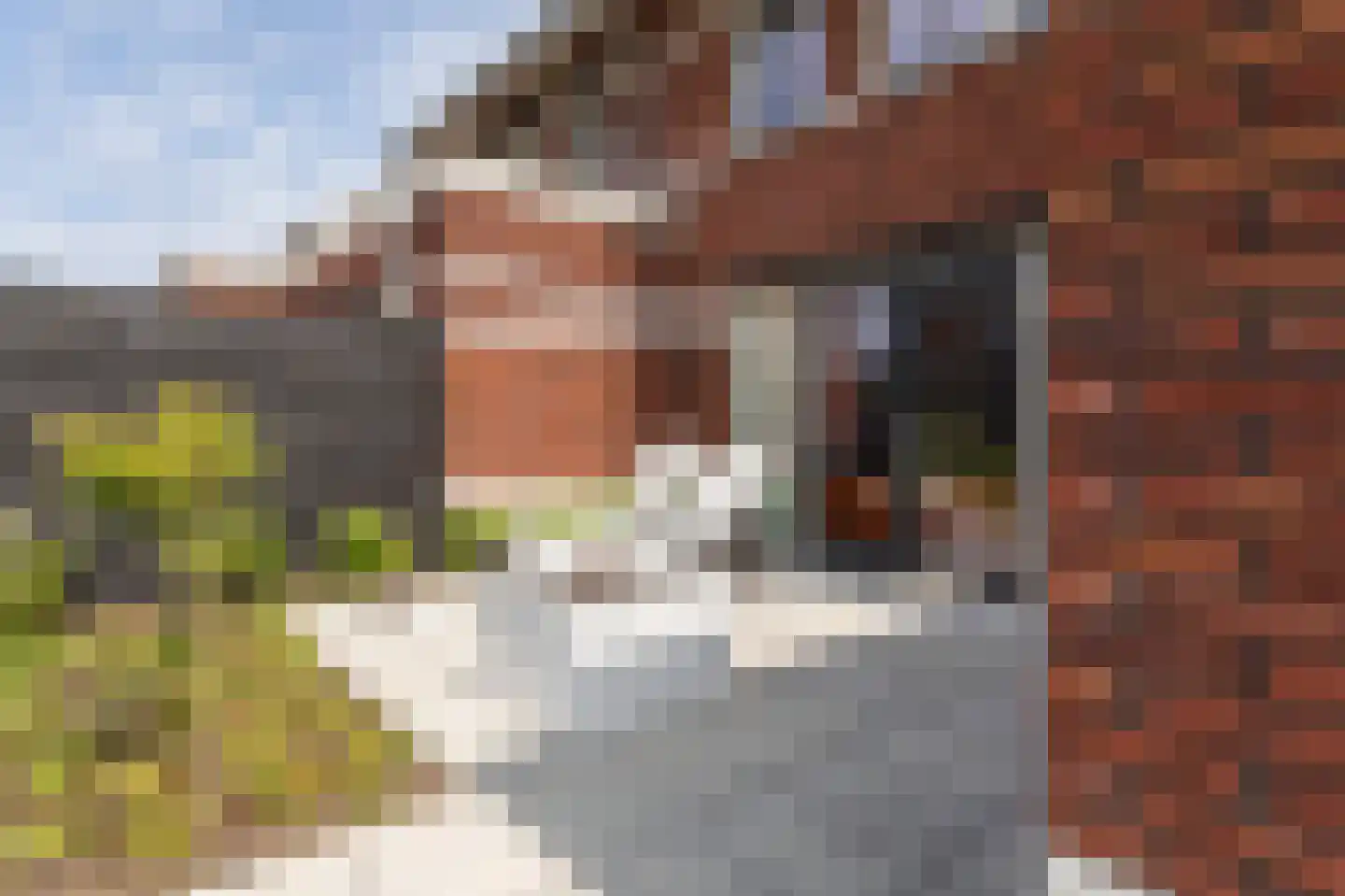 Elisabeth van Brunswijklaan 8 Den Haag thumbnail 33