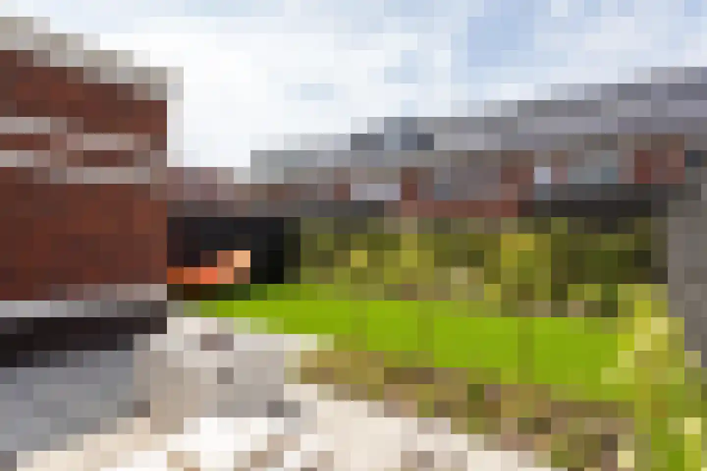 Elisabeth van Brunswijklaan 8 Den Haag thumbnail 34