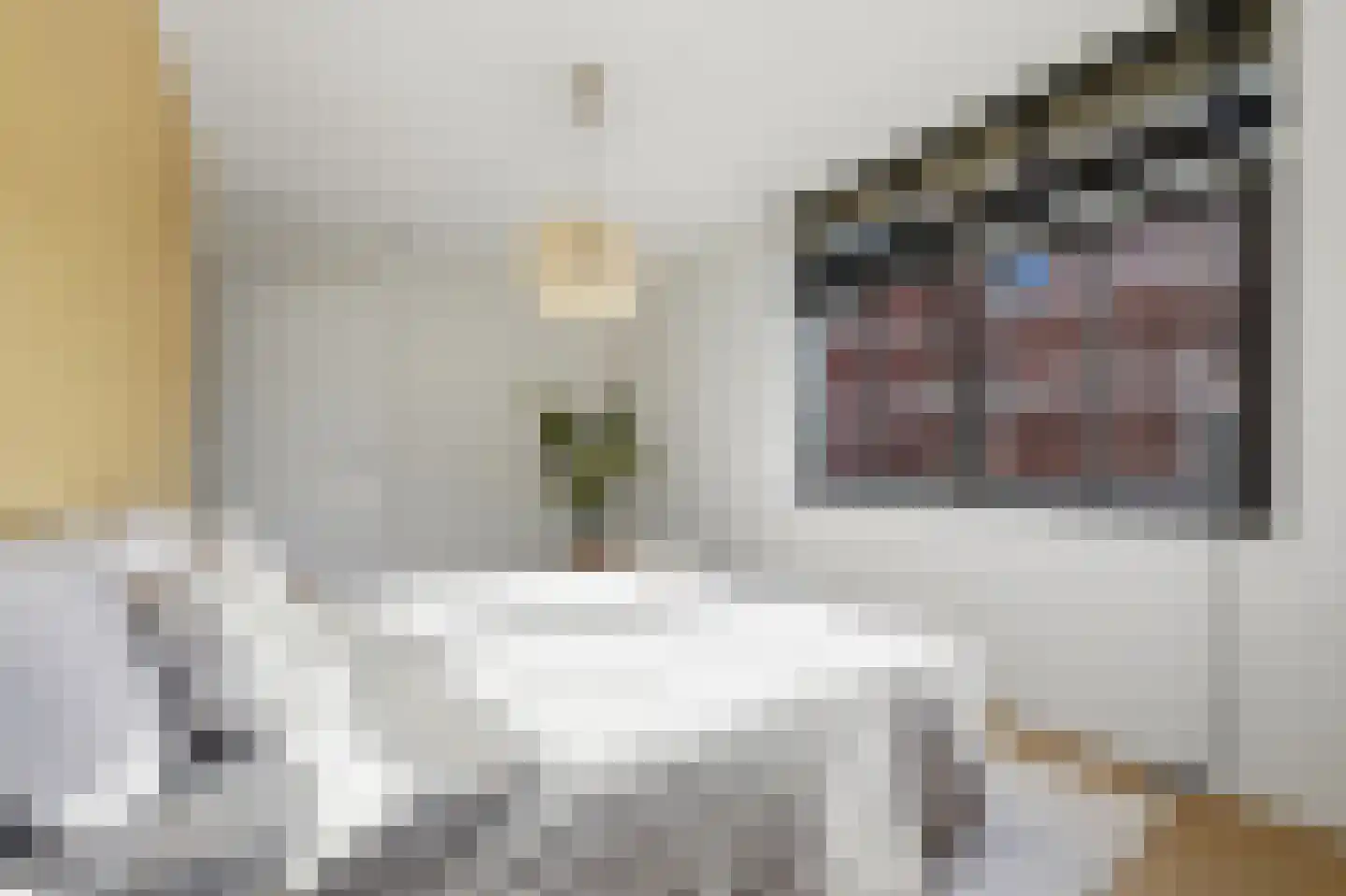Elisabeth van Brunswijklaan 8 Den Haag thumbnail 34