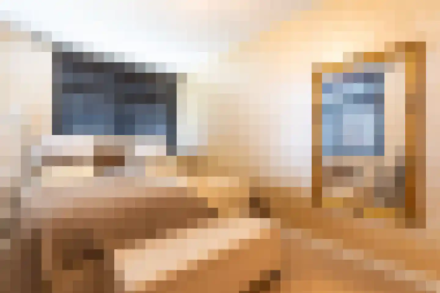 Elisabeth van Brunswijklaan 8 Den Haag thumbnail 35