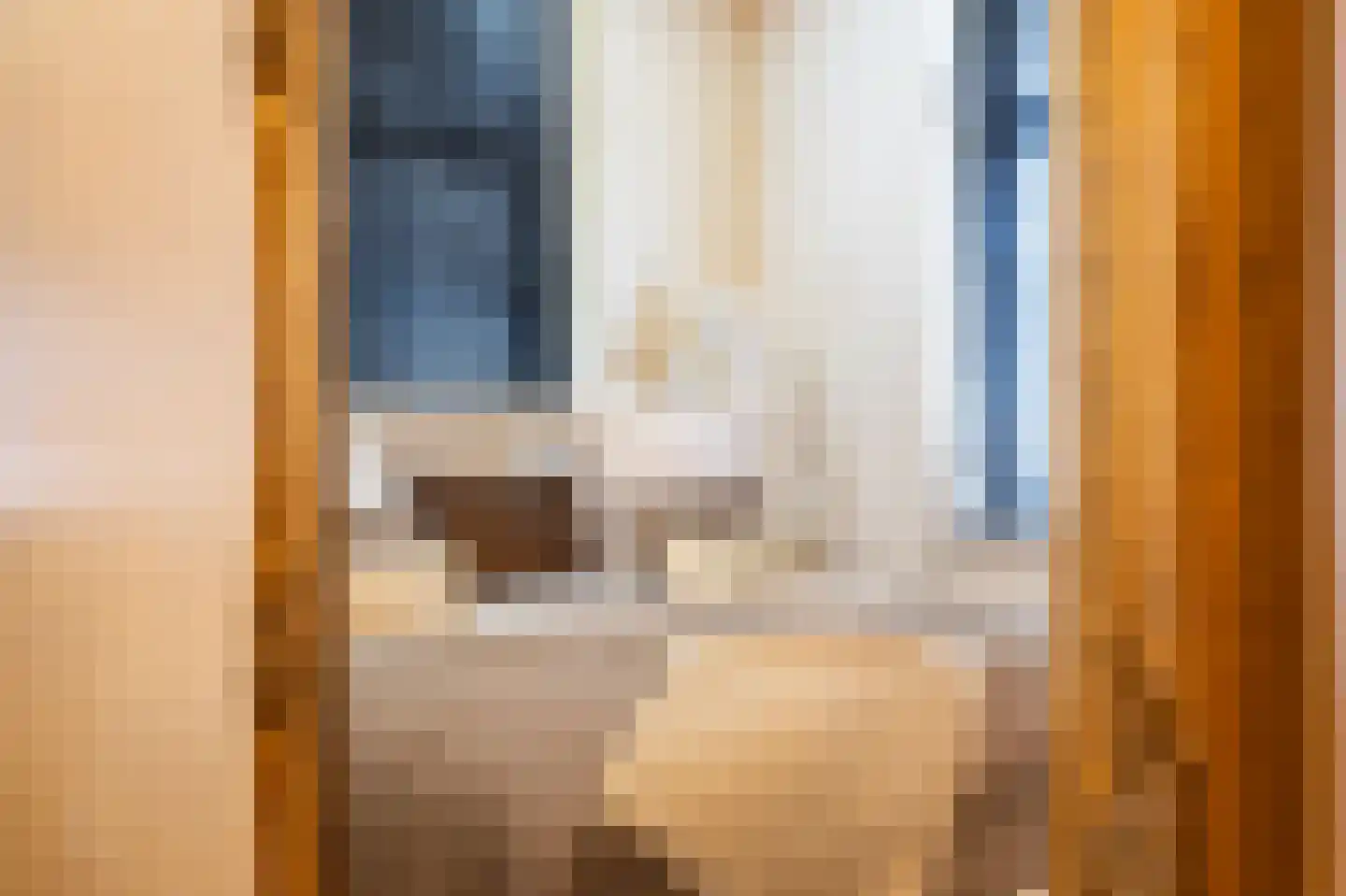 Elisabeth van Brunswijklaan 8 Den Haag thumbnail 36