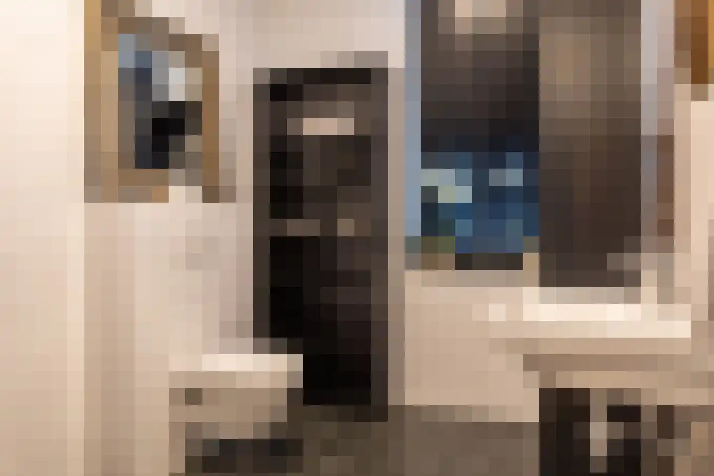 Elisabeth van Brunswijklaan 8 Den Haag thumbnail 41