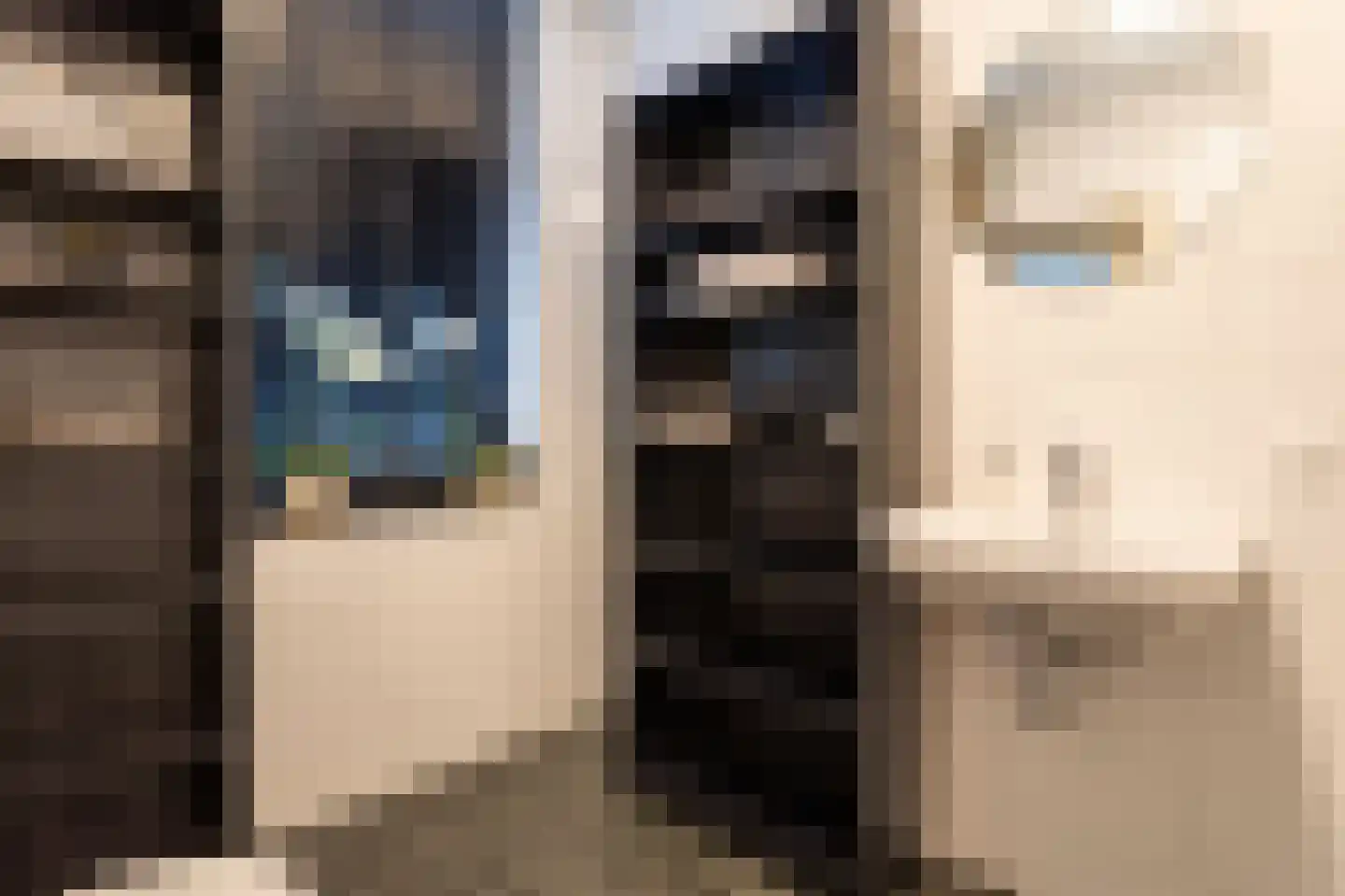 Elisabeth van Brunswijklaan 8 Den Haag thumbnail 42