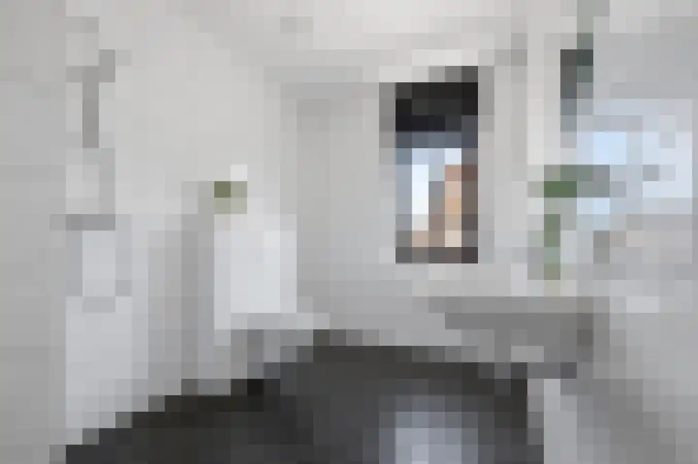 Elisabeth van Brunswijklaan 8 Den Haag thumbnail 43