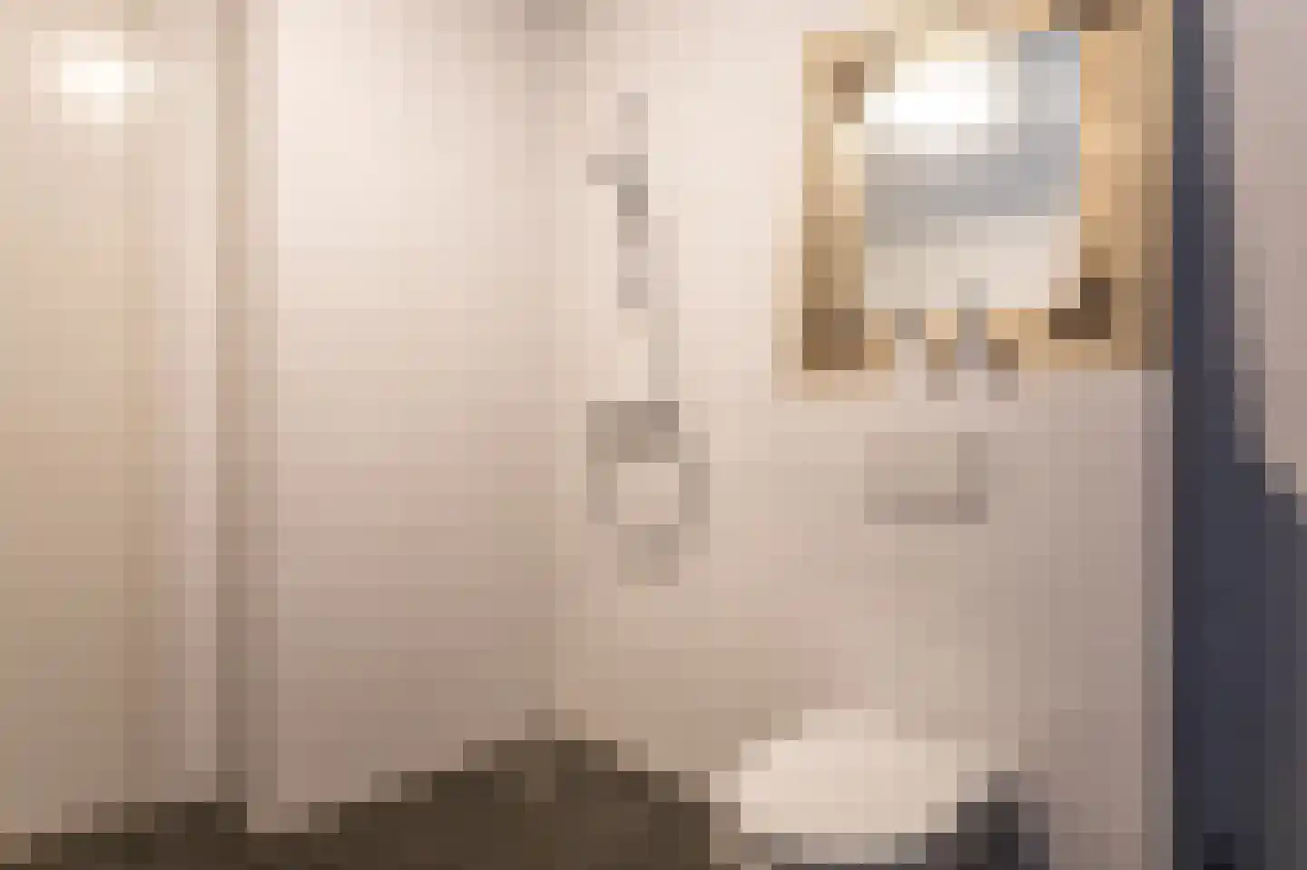 Elisabeth van Brunswijklaan 8 Den Haag thumbnail 43