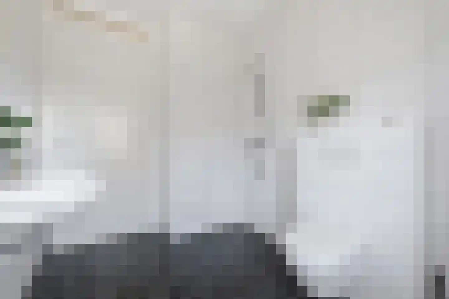 Elisabeth van Brunswijklaan 8 Den Haag thumbnail 44