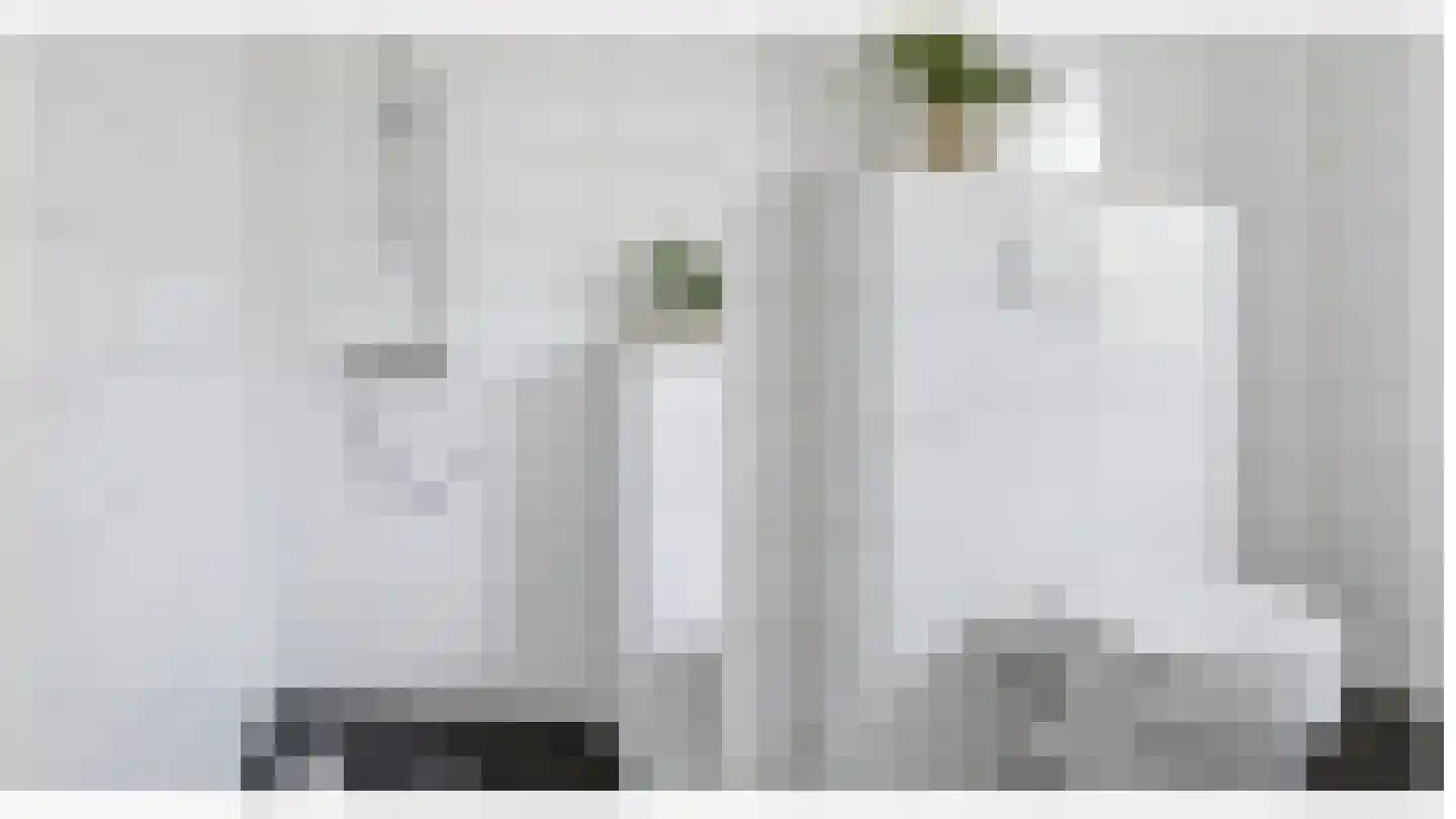 Elisabeth van Brunswijklaan 8 Den Haag thumbnail 45