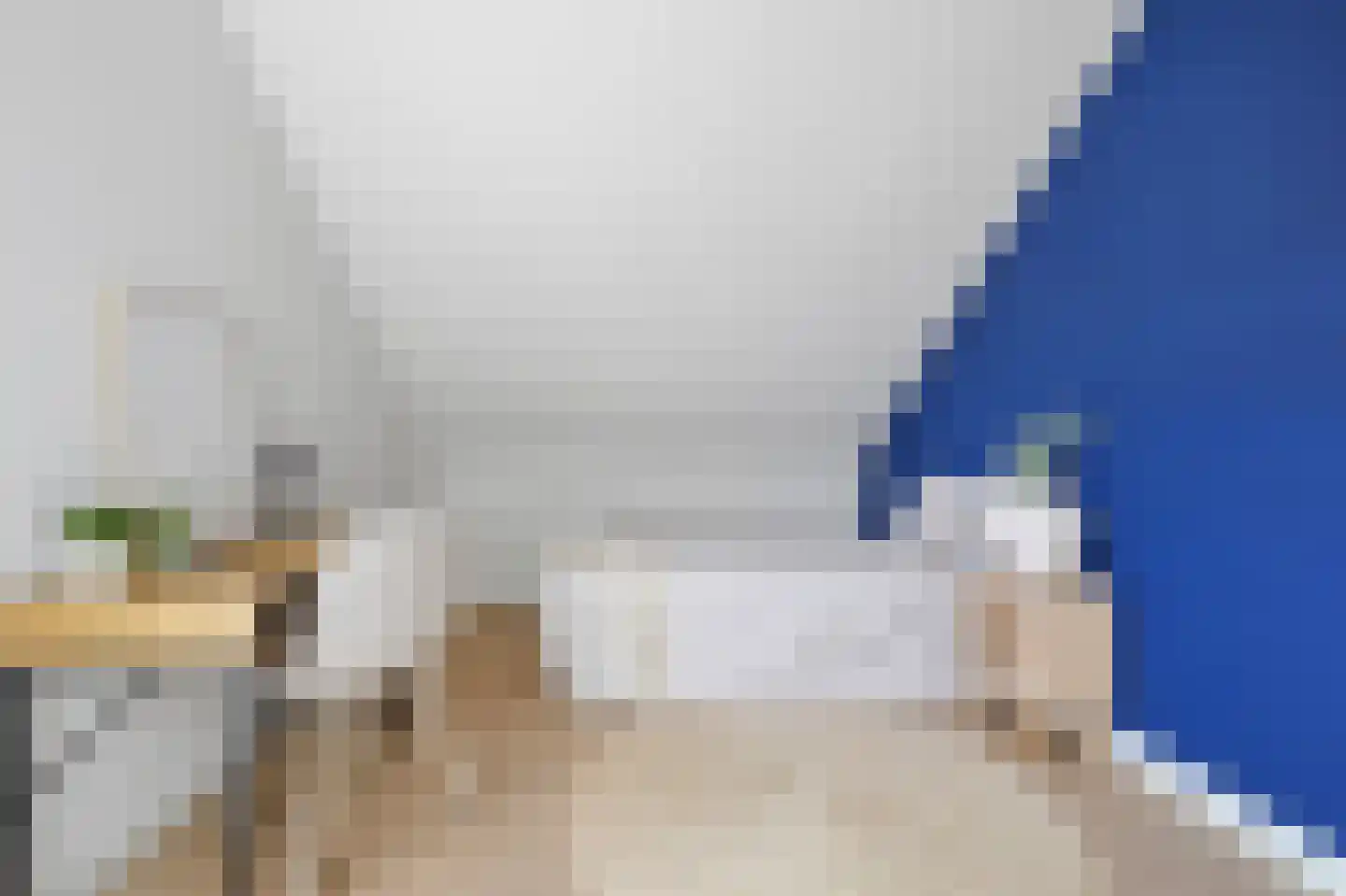 Elisabeth van Brunswijklaan 8 Den Haag thumbnail 47