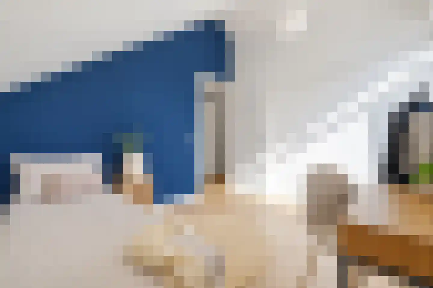 Elisabeth van Brunswijklaan 8 Den Haag thumbnail 48