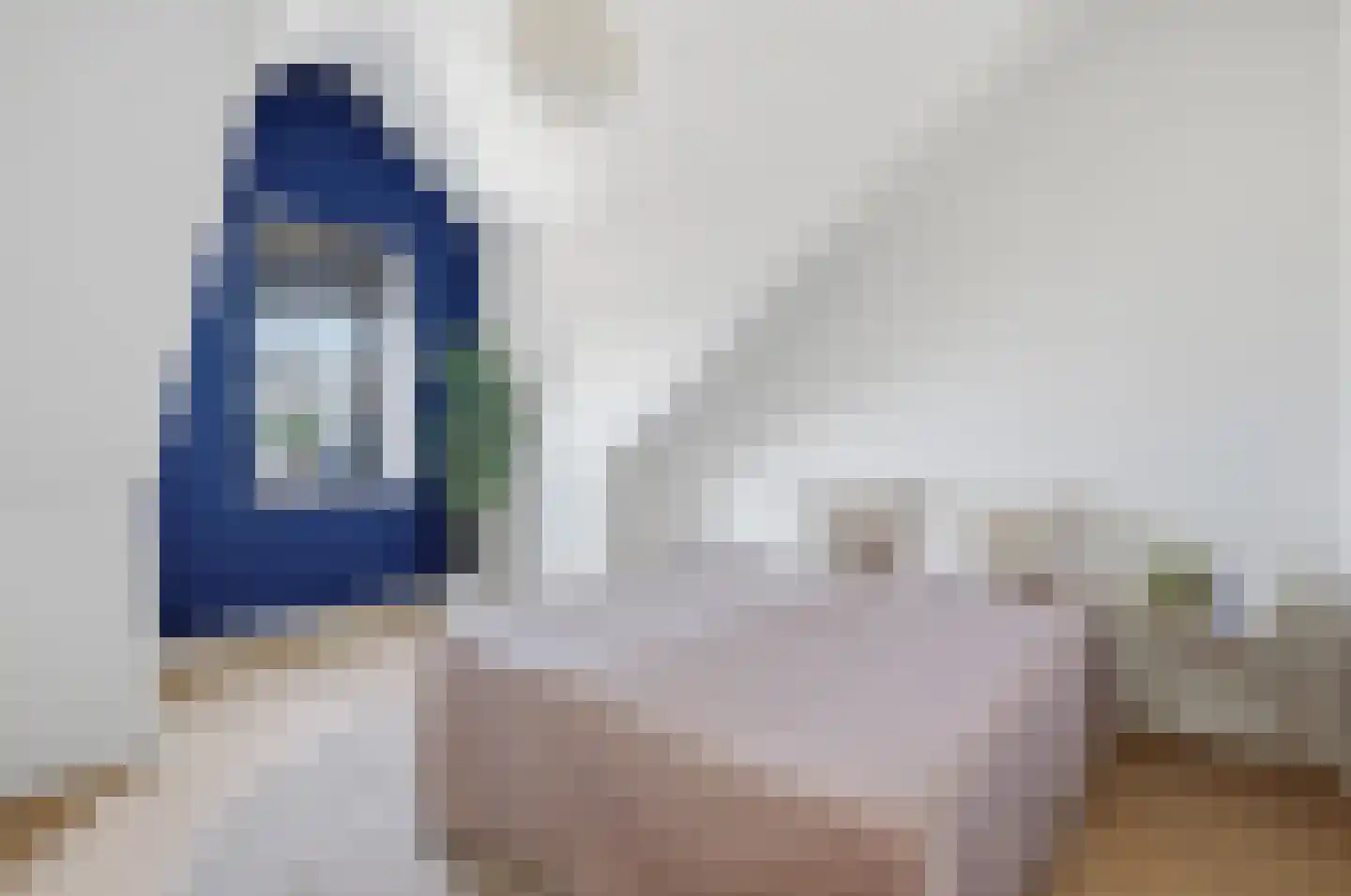 Elisabeth van Brunswijklaan 8 Den Haag thumbnail 50