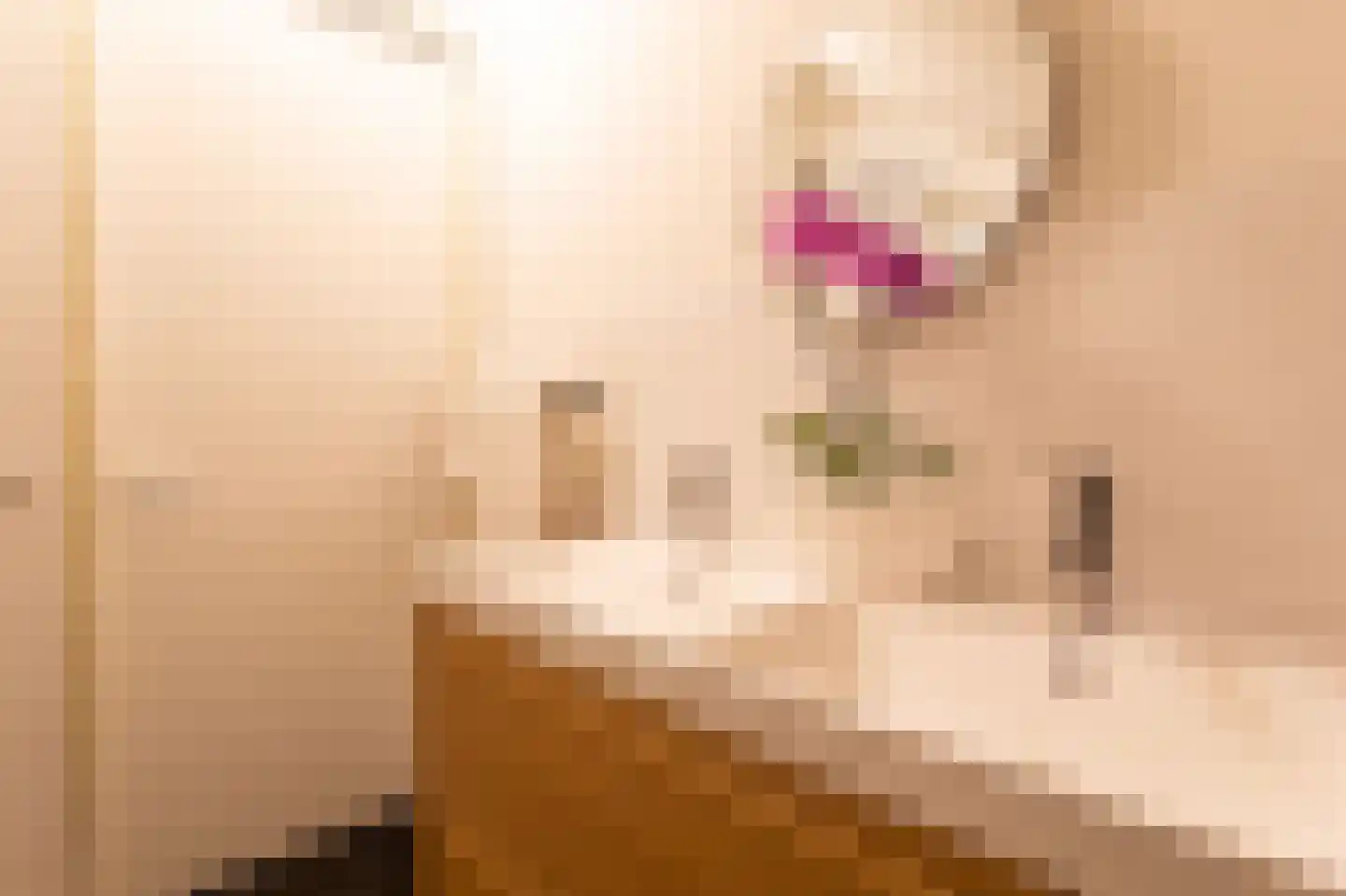 Elisabeth van Brunswijklaan 8 Den Haag thumbnail 50