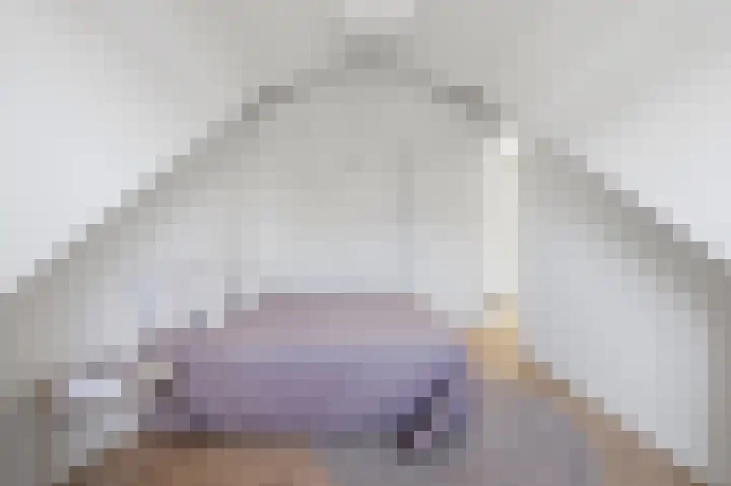 Elisabeth van Brunswijklaan 8 Den Haag thumbnail 51