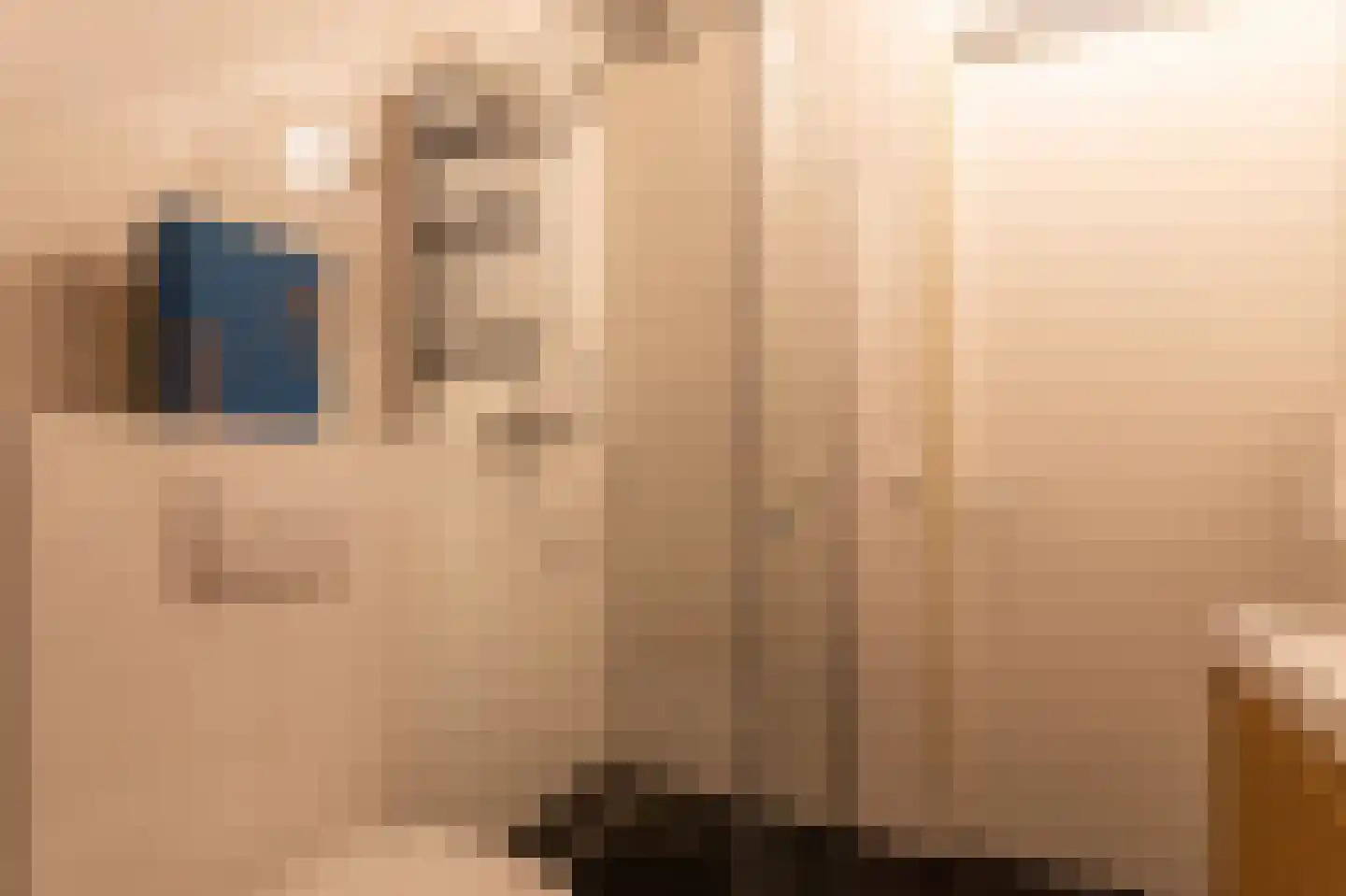 Elisabeth van Brunswijklaan 8 Den Haag thumbnail 51