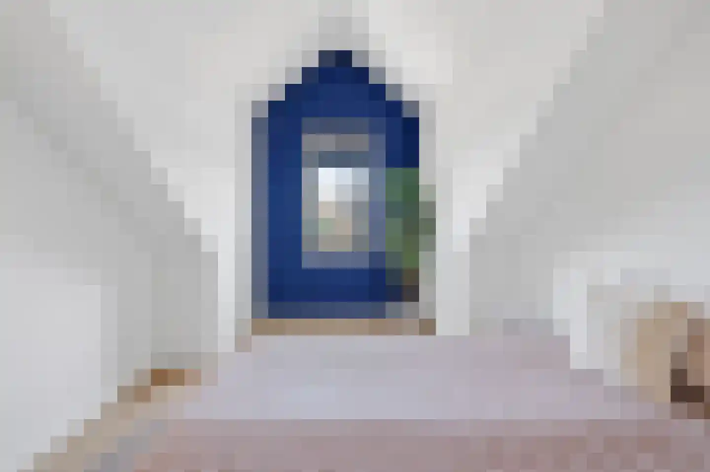 Elisabeth van Brunswijklaan 8 Den Haag thumbnail 52