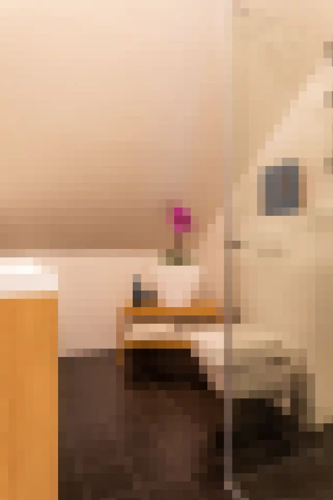 Elisabeth van Brunswijklaan 8 Den Haag thumbnail 53