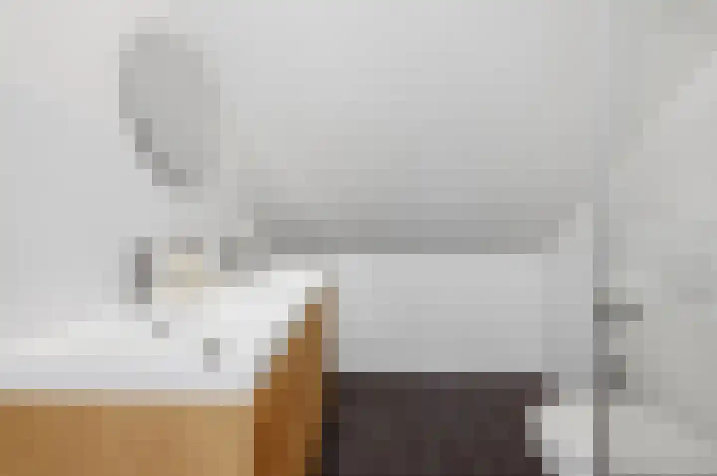 Elisabeth van Brunswijklaan 8 Den Haag thumbnail 53