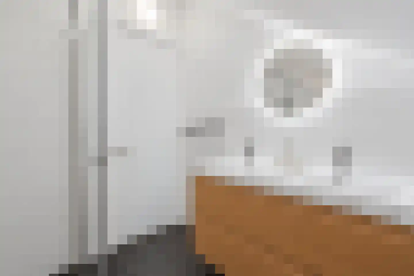 Elisabeth van Brunswijklaan 8 Den Haag thumbnail 54
