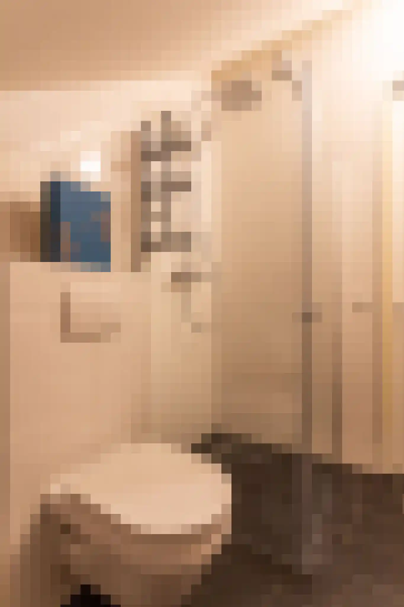 Elisabeth van Brunswijklaan 8 Den Haag thumbnail 54
