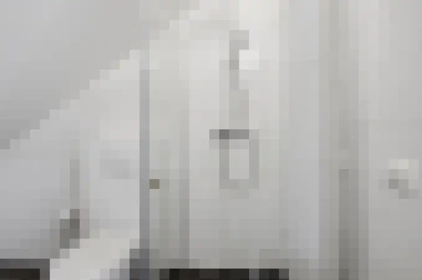 Elisabeth van Brunswijklaan 8 Den Haag thumbnail 55