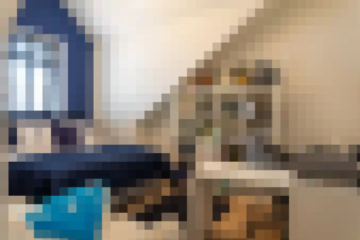 Elisabeth van Brunswijklaan 8 Den Haag thumbnail 57