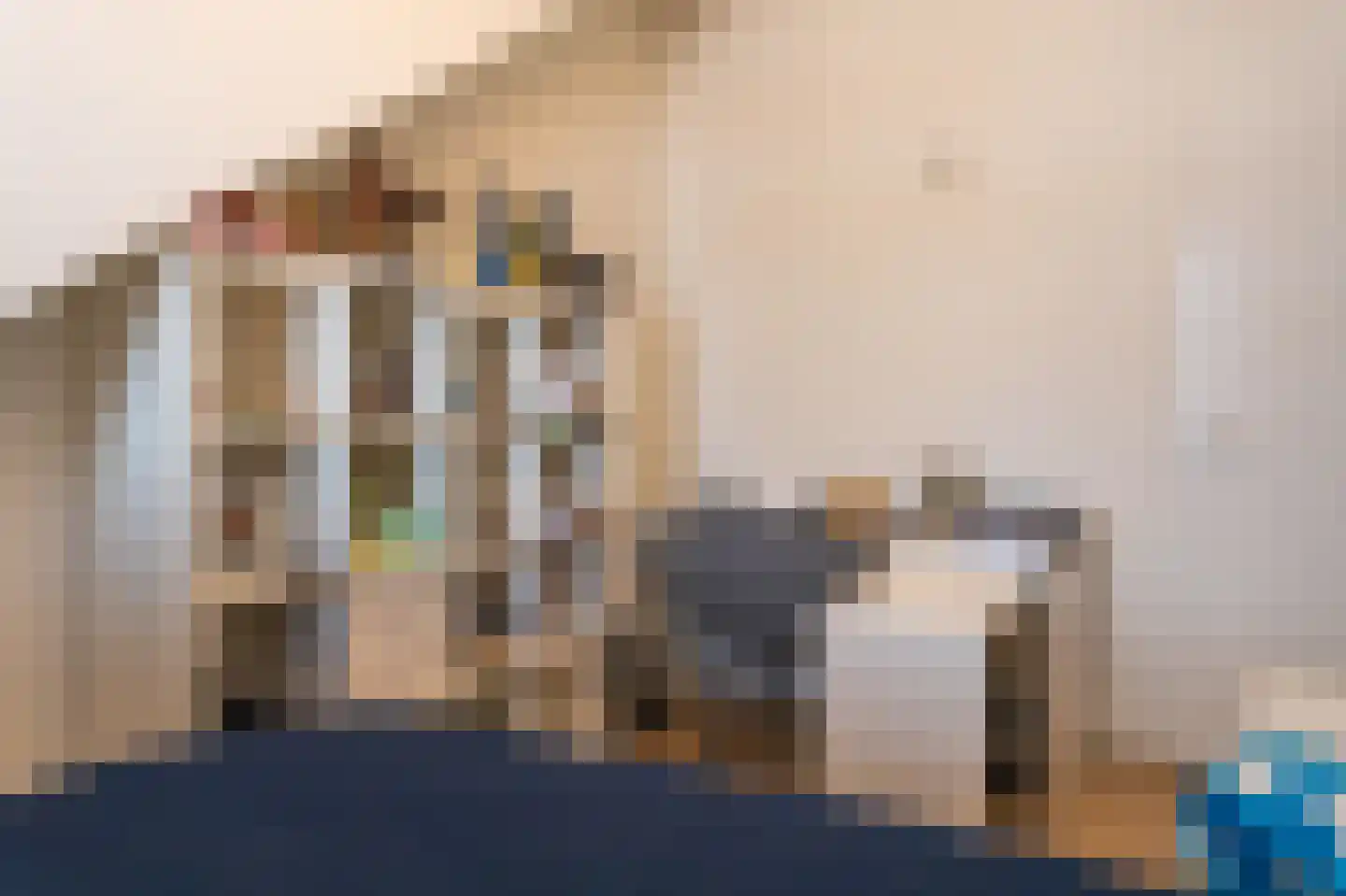 Elisabeth van Brunswijklaan 8 Den Haag thumbnail 61
