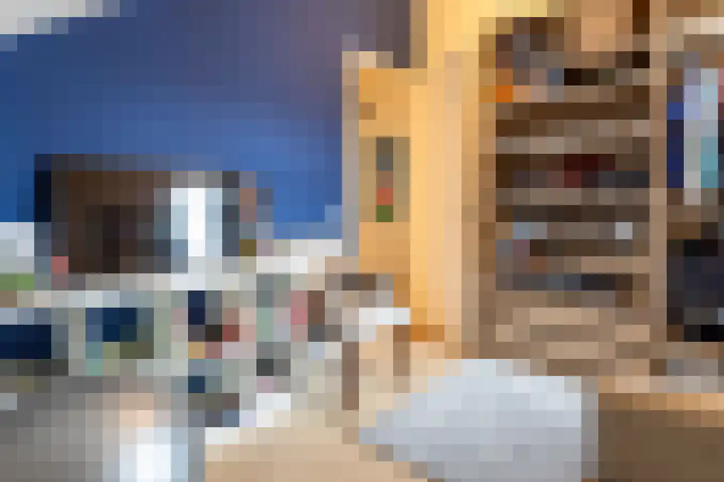 Elisabeth van Brunswijklaan 8 Den Haag thumbnail 63