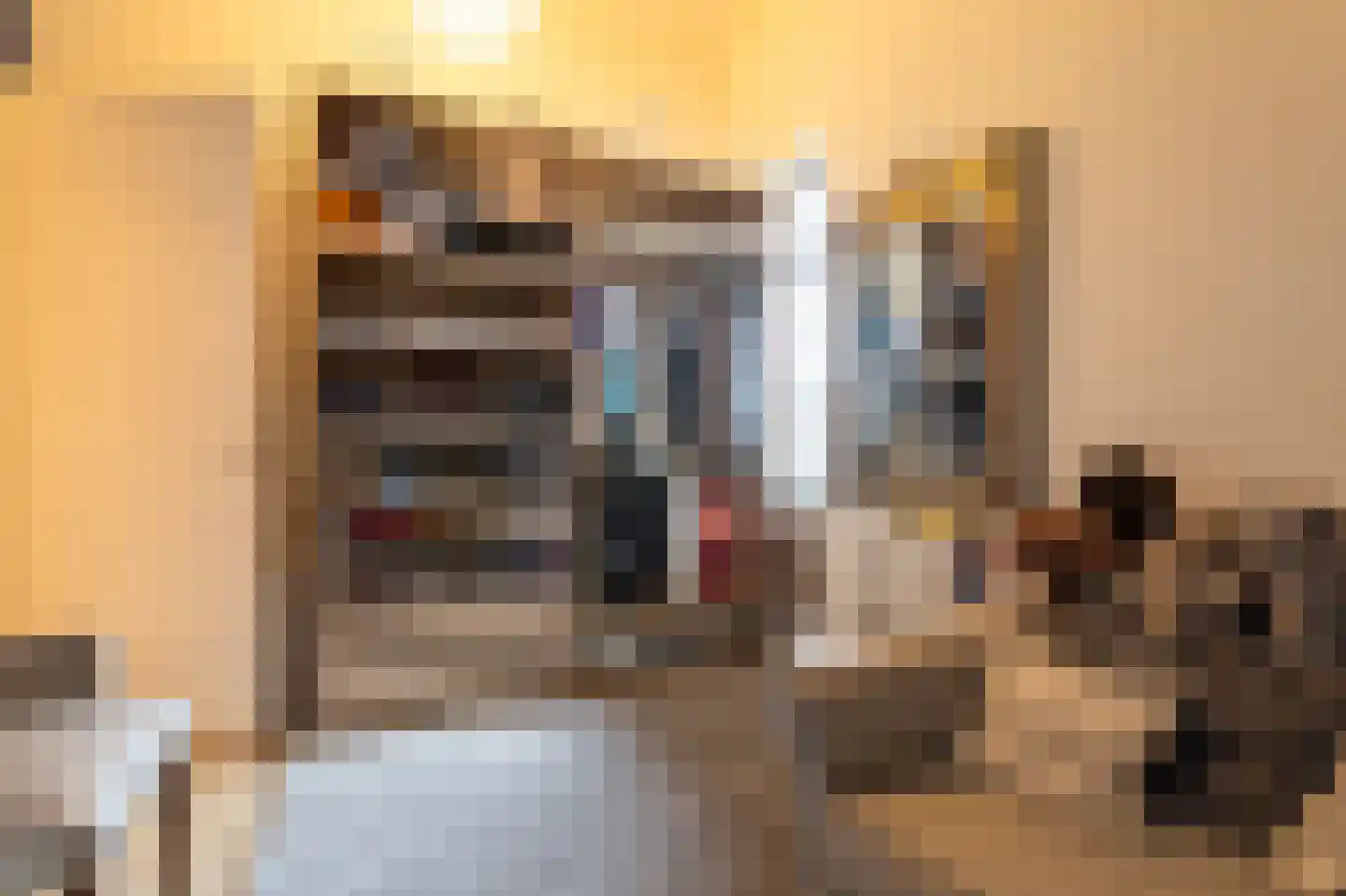Elisabeth van Brunswijklaan 8 Den Haag thumbnail 64