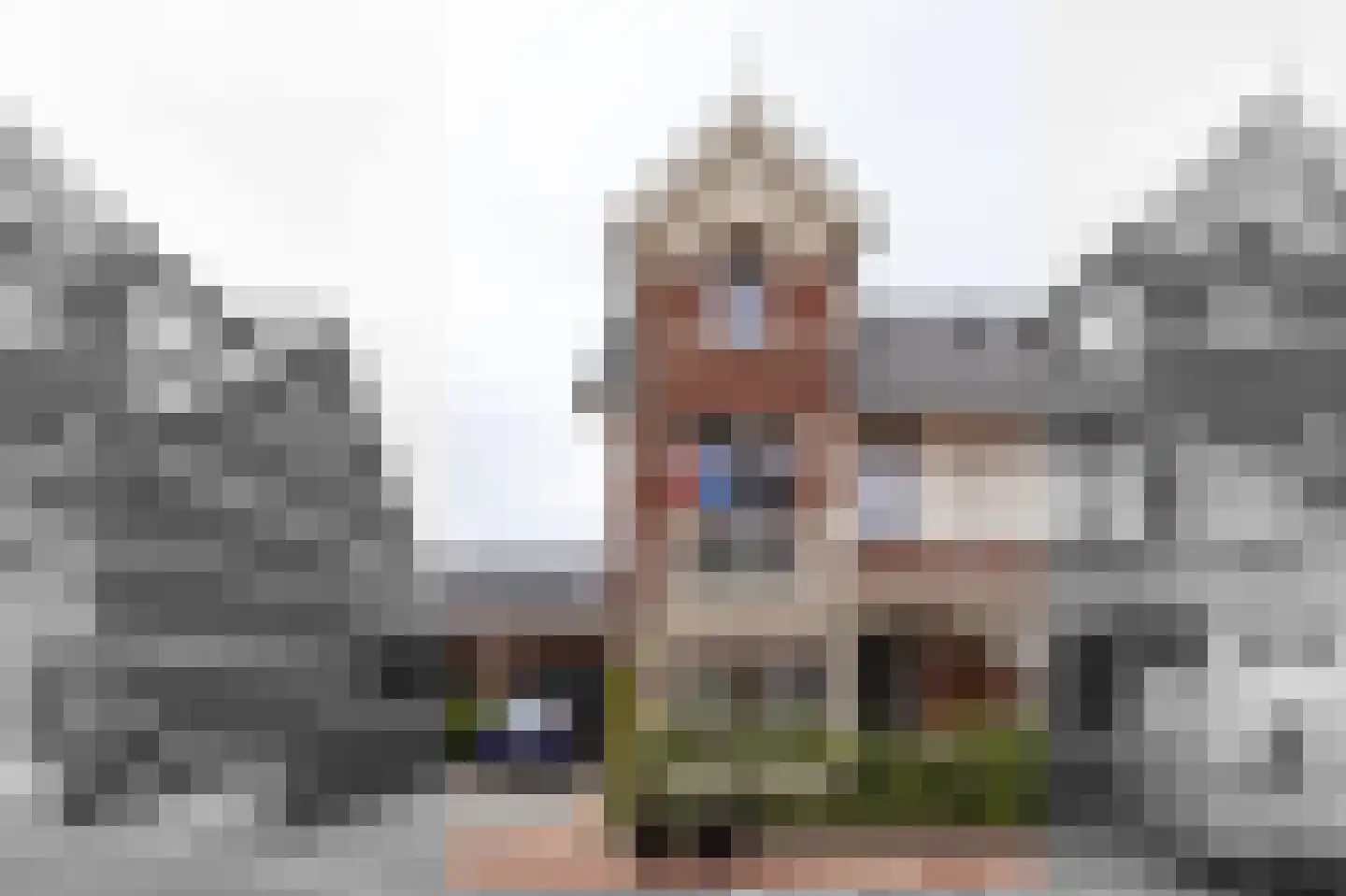 Elisabeth van Brunswijklaan 8 Den Haag thumbnail 71