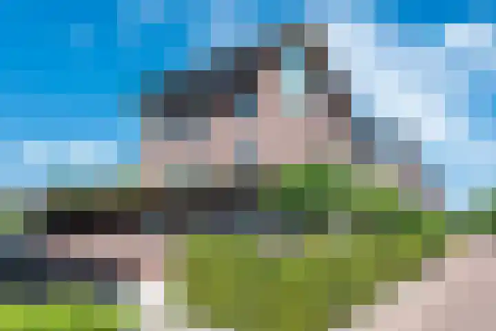 Elisabeth van den Boschlaan 18 Helmond thumbnail 12