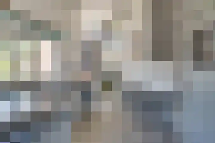 Elisabeth van den Boschlaan 18 Helmond thumbnail 27