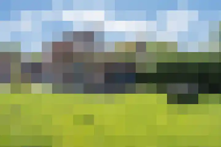 Elisabeth van den Boschlaan 18 Helmond thumbnail 51