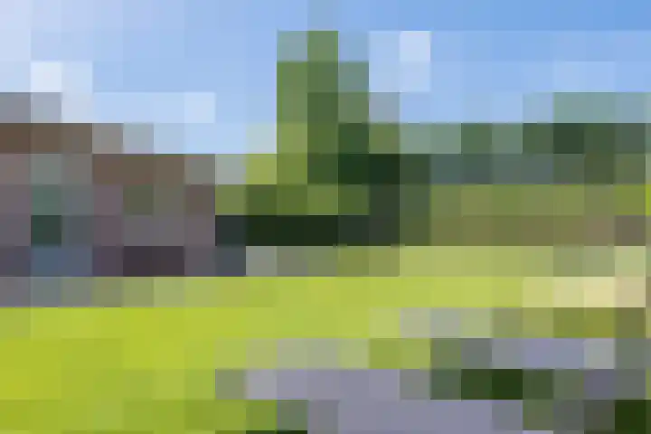 Elisabeth van den Boschlaan 18 Helmond thumbnail 57