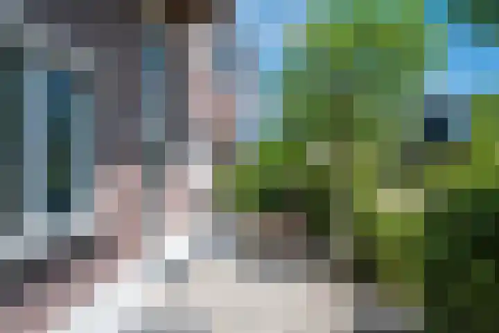 Elisabeth van den Boschlaan 18 Helmond thumbnail 8