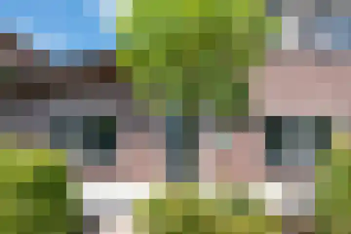 Elisabeth van den Boschlaan 18 Helmond thumbnail 9