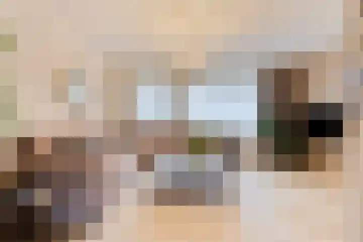 Elisabeth van den Boschlaan 20 Helmond thumbnail 17