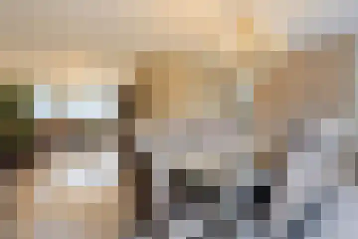 Elisabeth van den Boschlaan 20 Helmond thumbnail 20