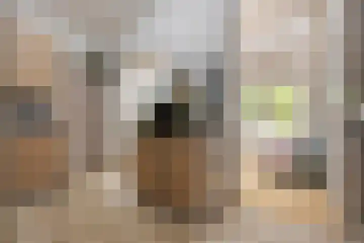 Elisabeth van den Boschlaan 20 Helmond thumbnail 25