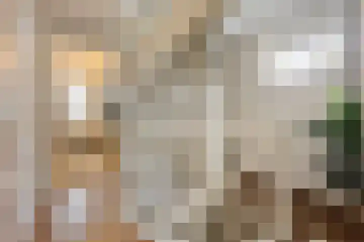 Elisabeth van den Boschlaan 20 Helmond thumbnail 35