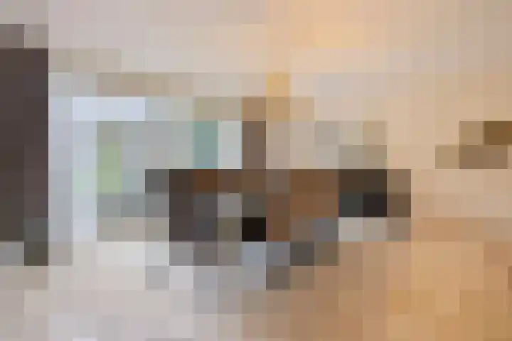 Elisabeth van den Boschlaan 20 Helmond thumbnail 4