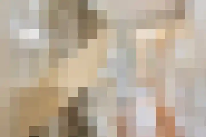 Elisabeth van den Boschlaan 20 Helmond thumbnail 43