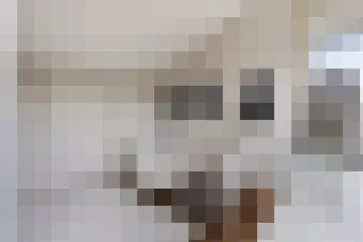 Elisabeth van den Boschlaan 20 Helmond thumbnail 44